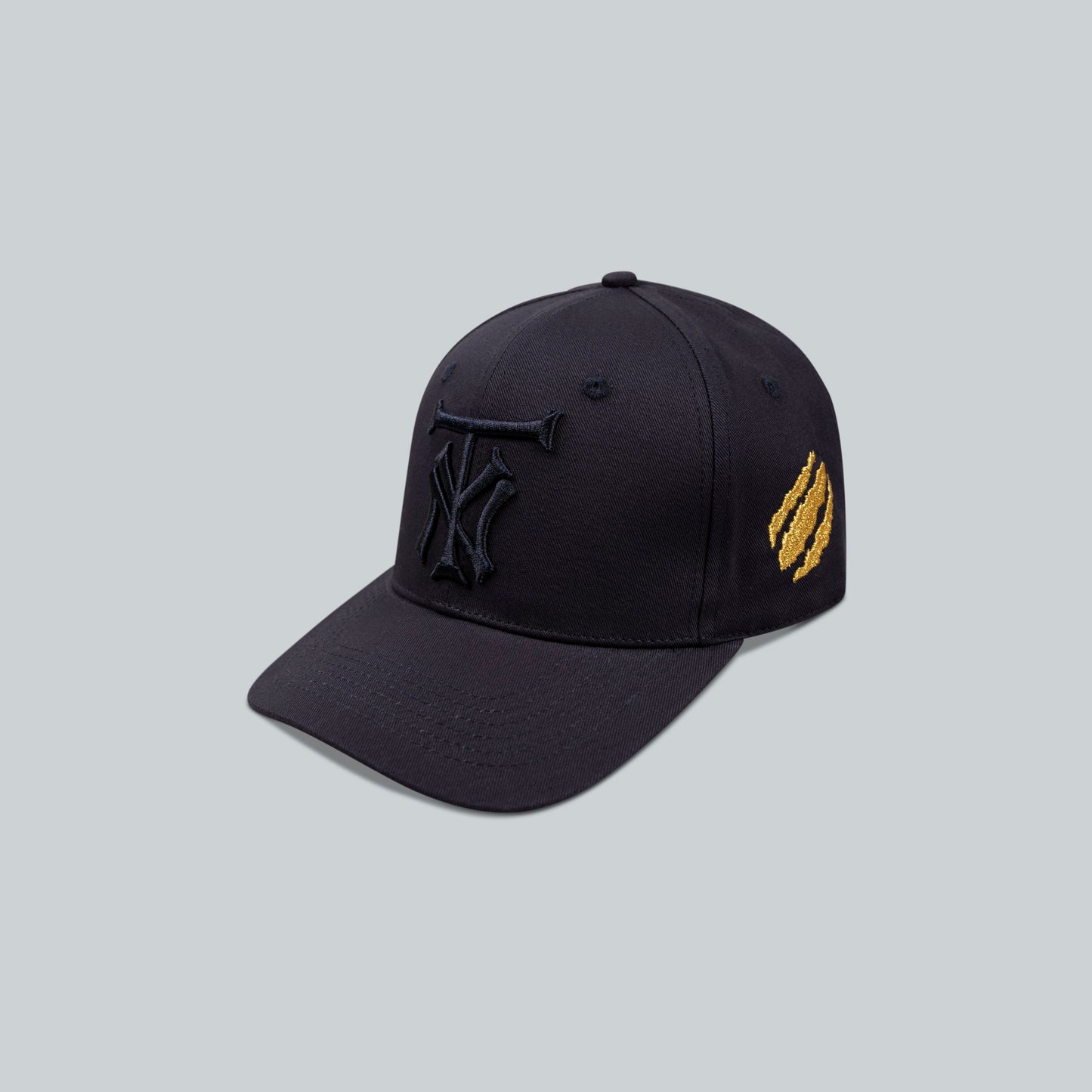 NAVY TNY CAP
