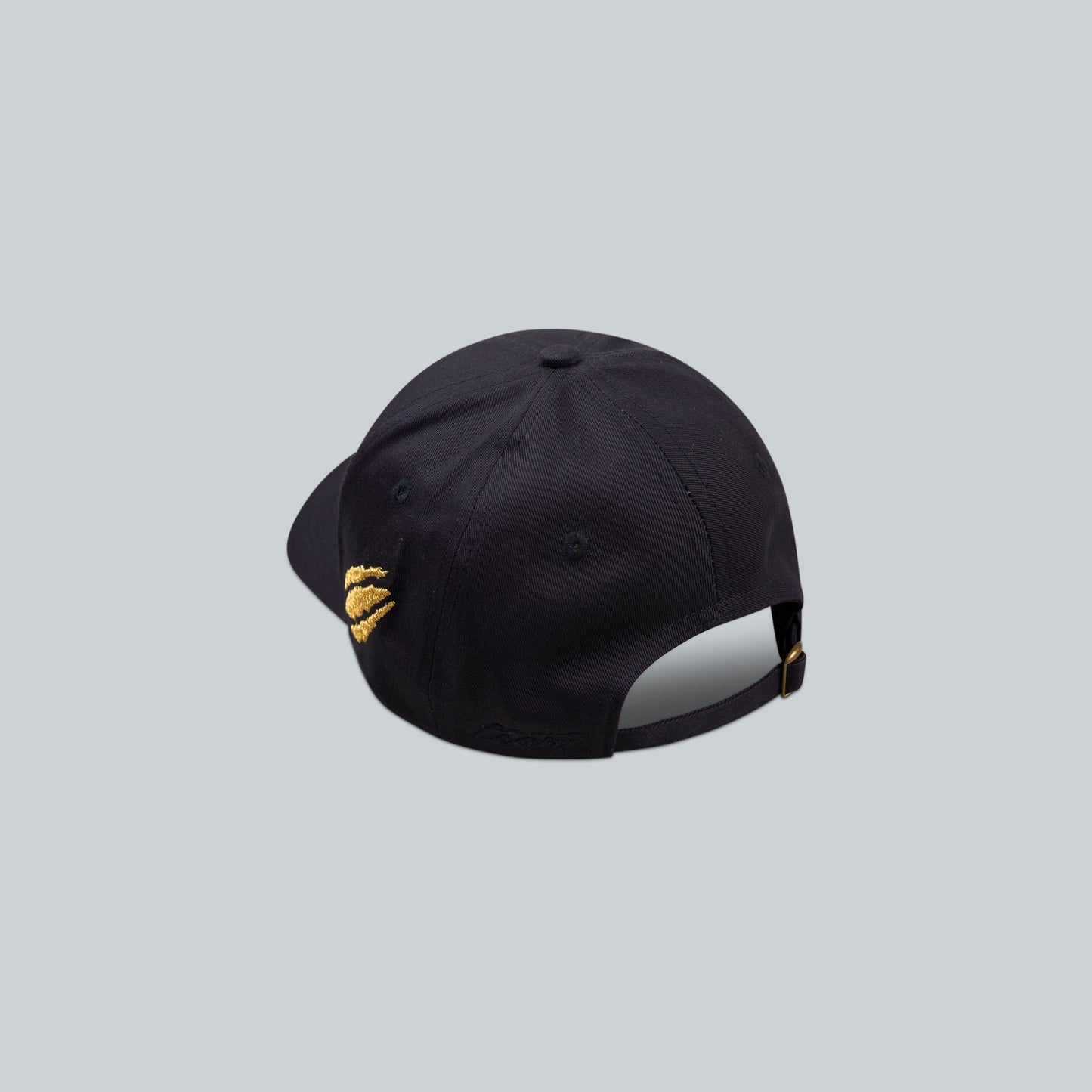 NAVY TNY CAP