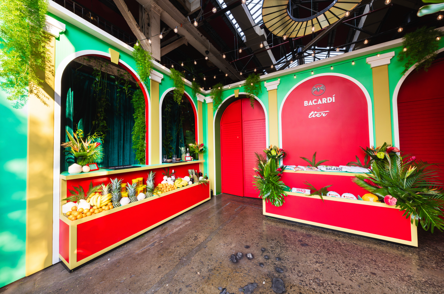 Rooted in Rhythm Collection Launch